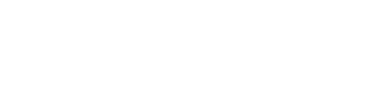 logo bhip
