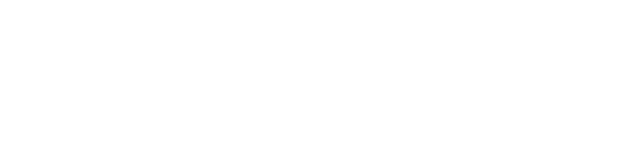 logo bhip